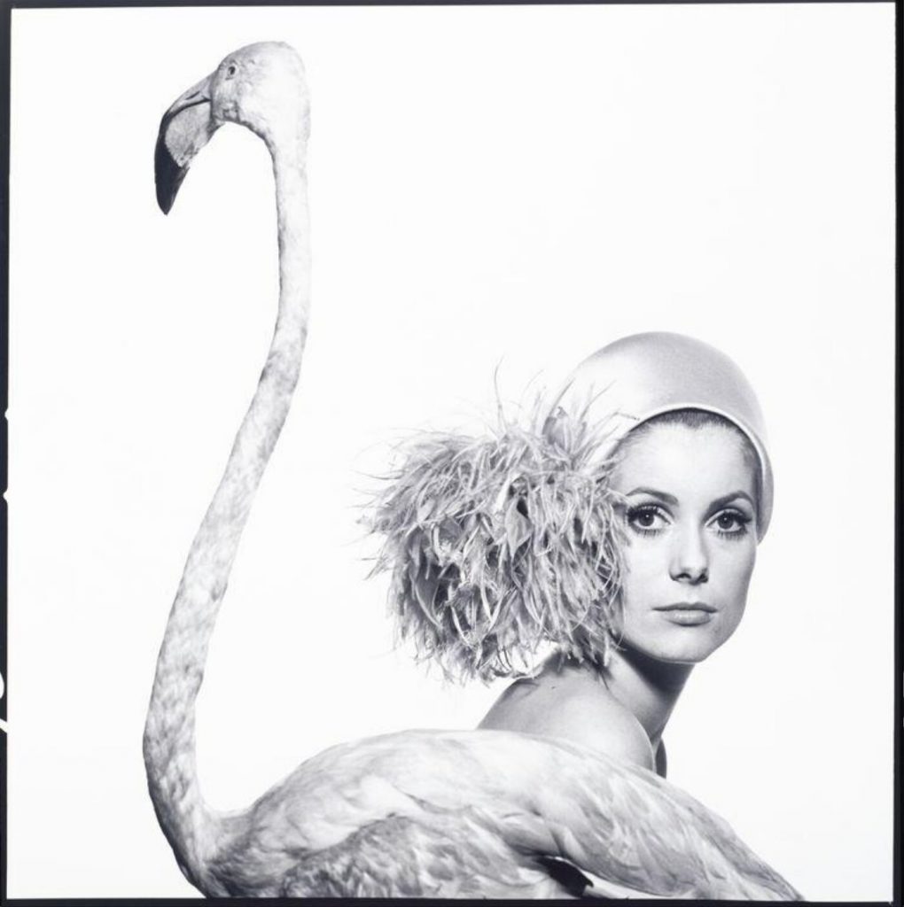 fashion photographers: David Bailey, Catherine Deneuve, Vogue, 1968, Victoria and Albert Museum, London, UK.