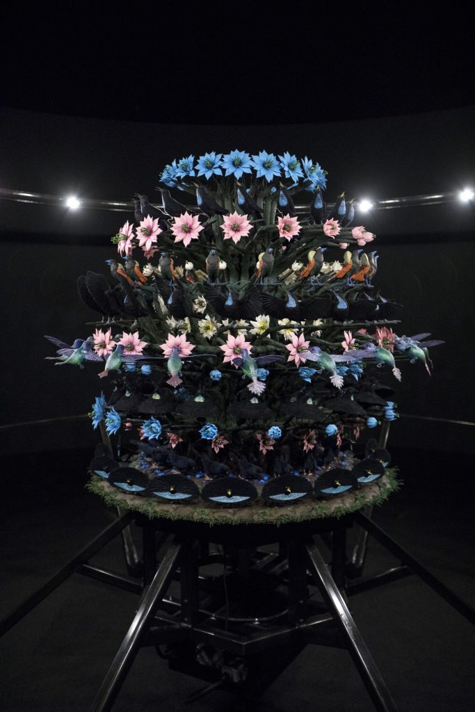 mat collishaw: Mat Collishaw, Centrifugal Soul, 2016. Artist’s website.