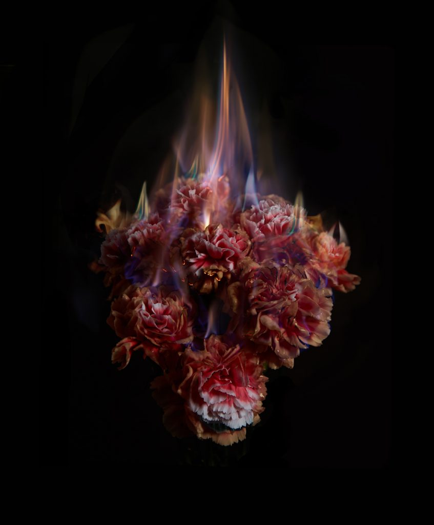 mat collishaw: Mat Collishaw, Burning Flowers, 2014. Artist’s website.
