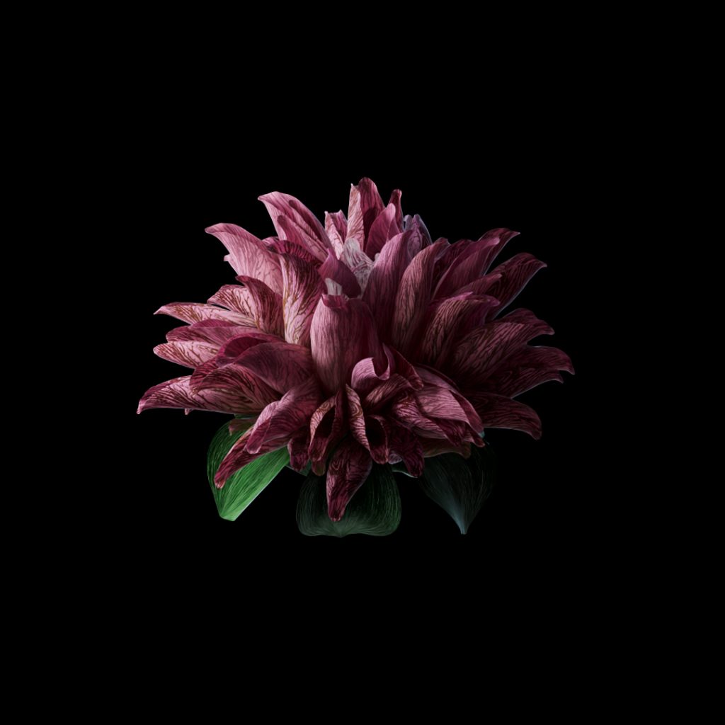 mat collishaw: Mat Collishaw, Heterosis, Digital Collectibles, 2023. Courtesy of the Artist.