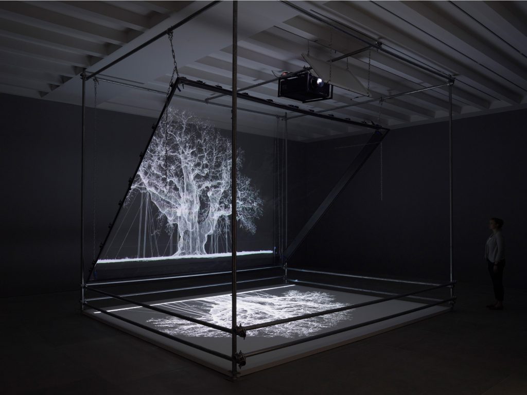mat collishaw: Mat Collishaw, Albion, 2017. Artist’s website.