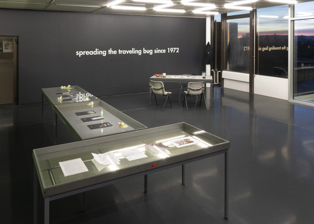Christelle Oyiri: Christelle Oyiri, VENOM VOYAGE, installation view, gta exhibitions, ETH Zurich, Zurich, Switzerland.
