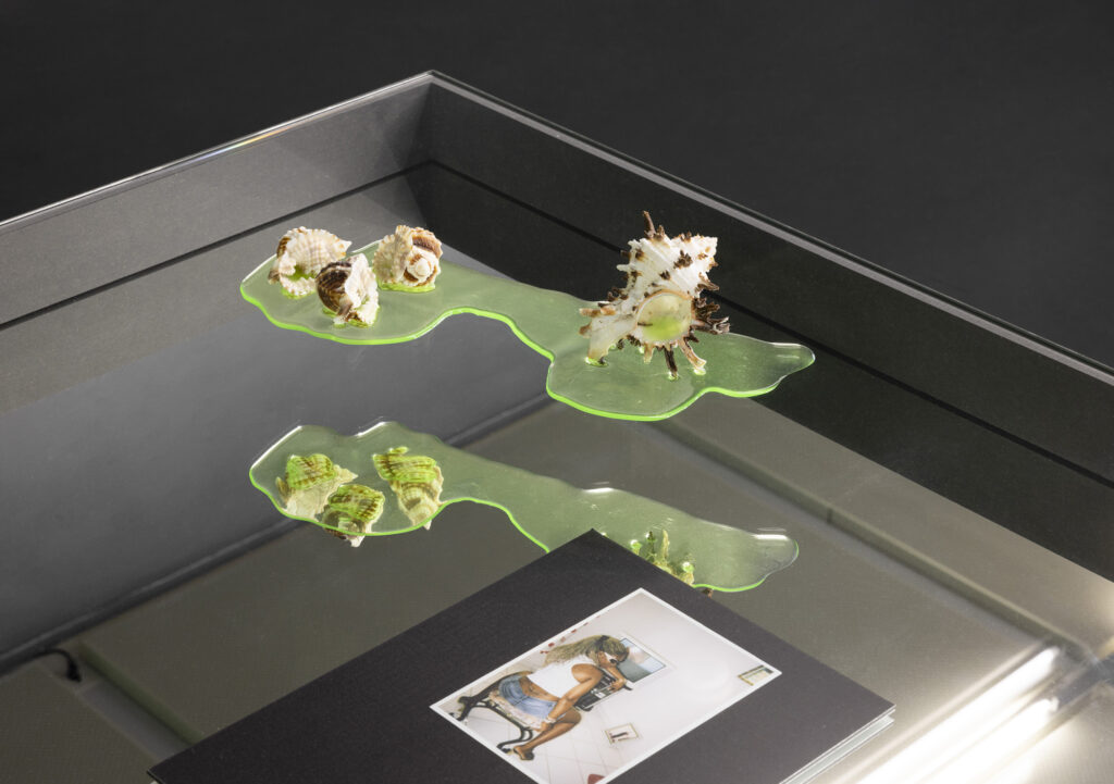 Christelle Oyiri: Christelle Oyiri, VENOM VOYAGE, installation view, gta exhibitions, ETH Zurich, Zurich, Switzerland.
